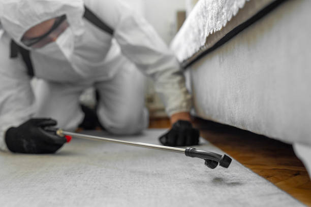 Professional Cockroach Control technician working in Olympia Fields, IL