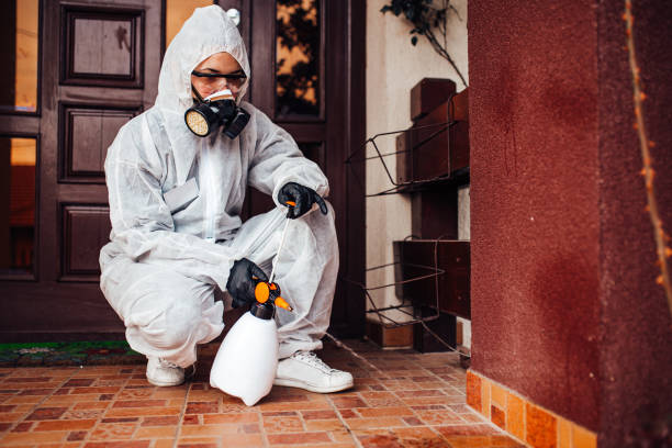 Reliable Cockroach Control contractor in Olympia Fields, IL by Nex Pest Control